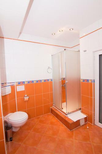 Apartamentos Haus Paltinul