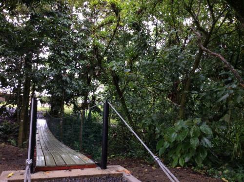 Hotel Confort Arenal