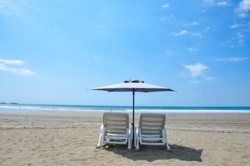 Apartamento La Paloma Blanca B1