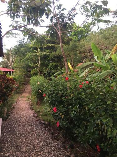 Hostal Soul Fire Casitas