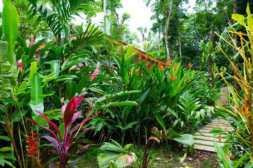 Bed & Breakfast La Paz Del Caribe