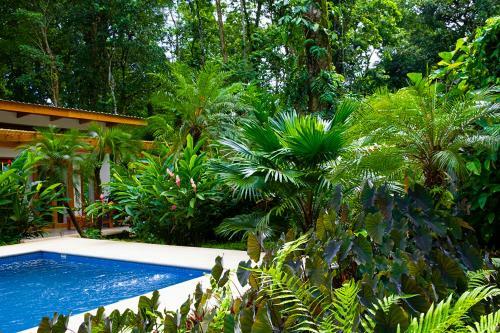 Bed & Breakfast La Paz Del Caribe