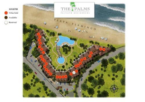 Palms 30