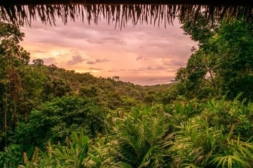 Hotel Selva Armonia