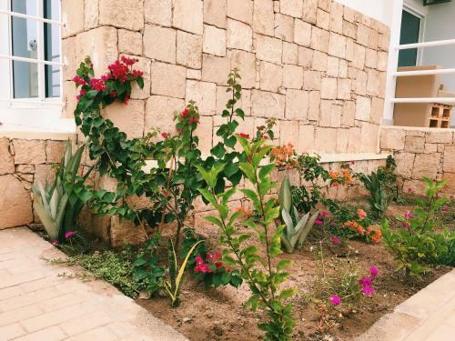 Apartamento Terra Kriola
