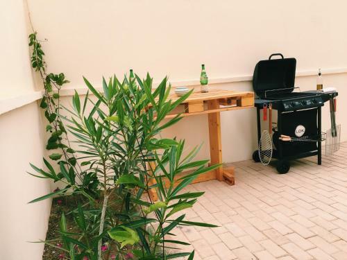 Apartamento Terra Kriola