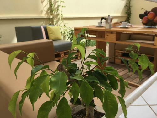 Apartamento Terra Kriola