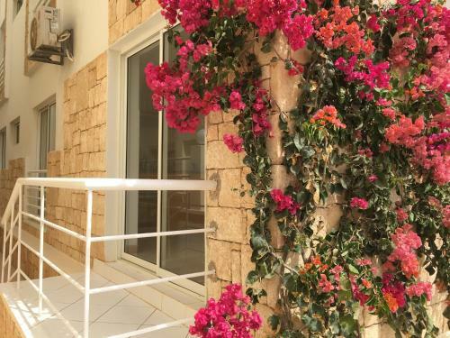 Apartamento Terra Kriola