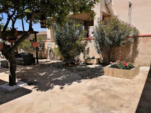 Lemon Tree Courtyard
