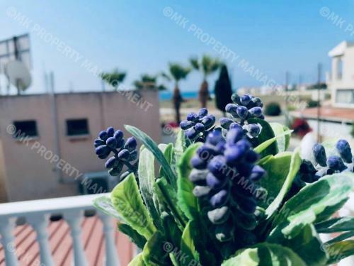 Lysia Sea-view Apartment