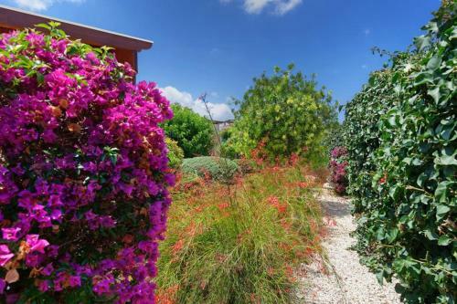 Latchi Villa Sleeps 4 With Pool Air Con And Wifi