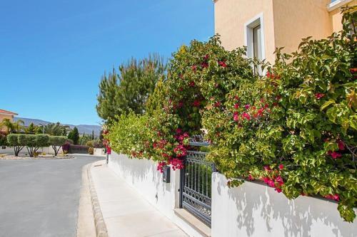 Villa In Latchi Sleeps 7 With Pool Air Con And Wifi