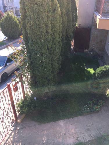 Hostal Vila Casa Esy