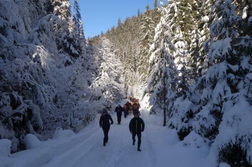 Hostal Pensiunea Lacramioara