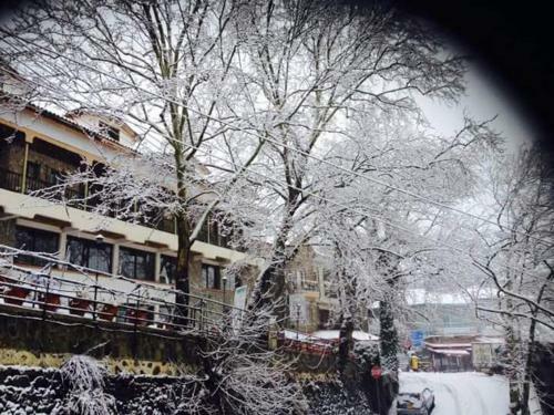 Mountain Rose Garden Hotel & Restaurant