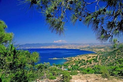 Luxury 4 Bedroom Villa With Private Pool, Protaras Villa 1237