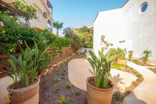 Protaras Oasis Seafront Villa