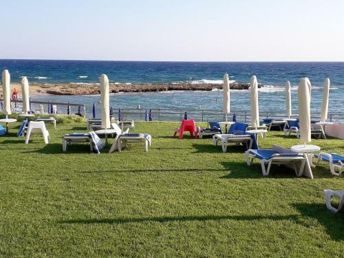 Polyxenia Holiday House