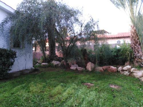 Polyxeni's Coral Bay Villas