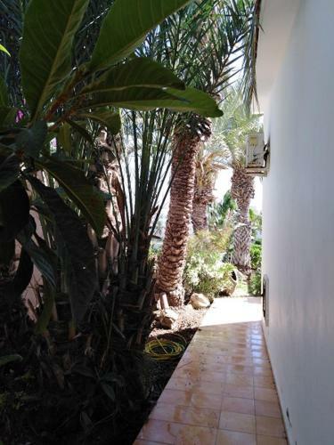 Polyxeni's Coral Bay Villas