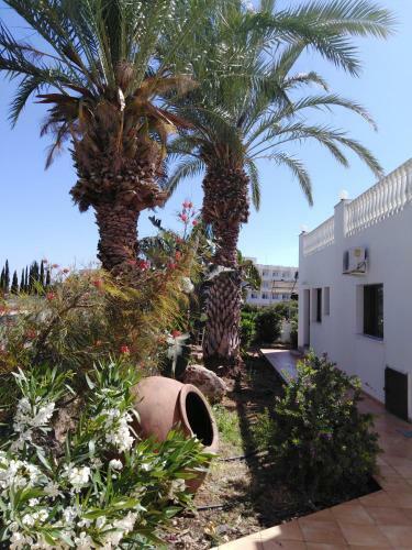 Polyxeni's Coral Bay Villas