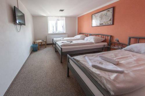 Hostal Penzion Slanina