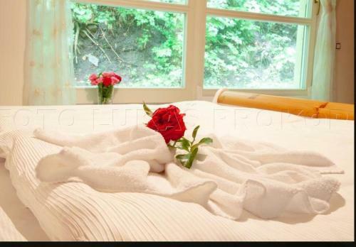 Apartamento Gold Residence