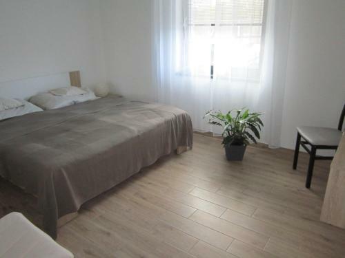 Hostal Rodinn� Ubytov�n� Slapy