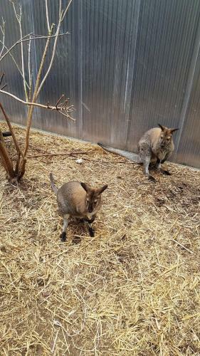 Sport Pension Cibulka