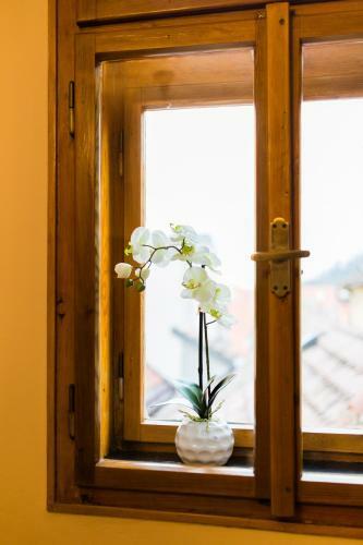 Apartments U Kr�le Brabantsk�ho