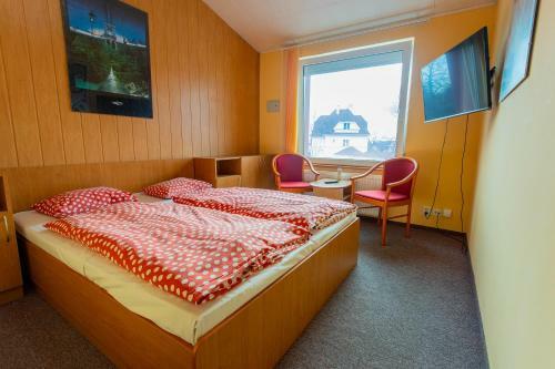 Hotel Penzion ?koli?ka