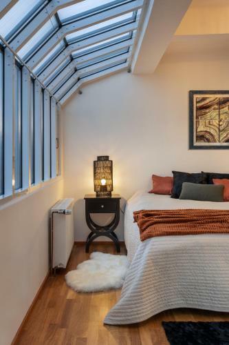 Luxurious Apartments Narodni