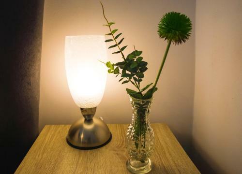 Apartment Krakovska 5