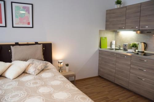 Apartment Krakovska 5