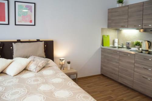 Apartment Krakovska 5