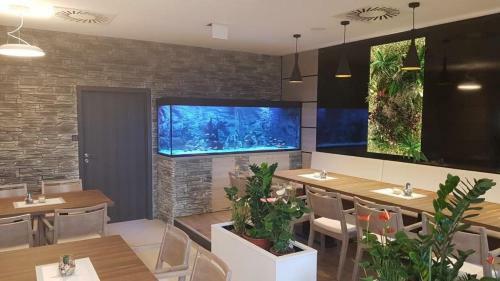 Hostal Penzion Nov� ?t?p�nov