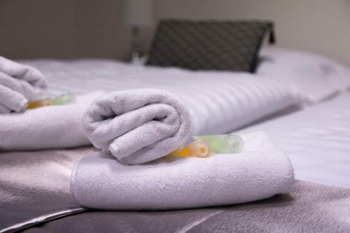 Classic Apartm�ny T?inec