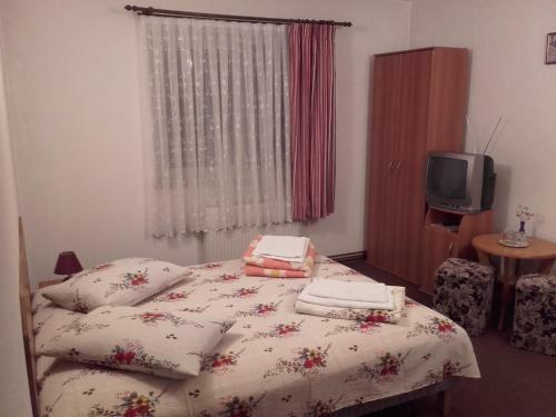 Hostal Pension Piatra Craiului