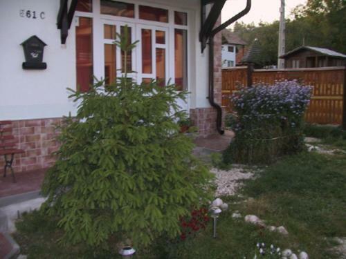 Hostal Pension Piatra Craiului