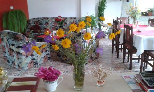Hostal Pension Piatra Craiului
