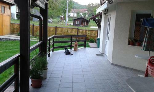 Hostal Pension Piatra Craiului