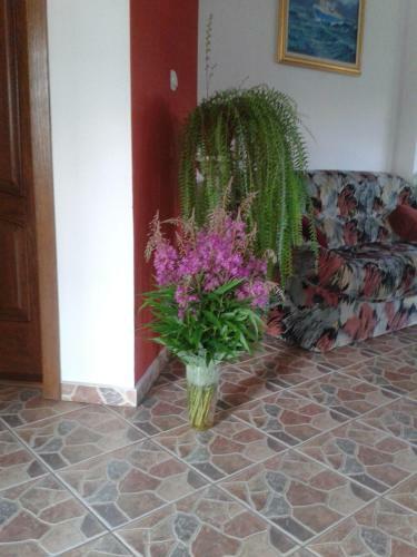 Hostal Pension Piatra Craiului