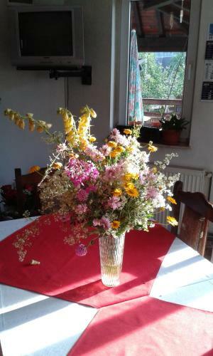 Hostal Pension Piatra Craiului