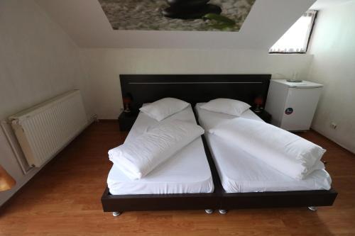 Hostal Pensiunea Cartisoara