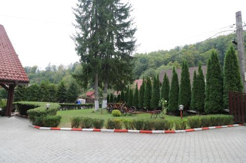 Hostal Pensiunea Cartisoara