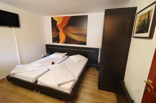Hostal Pensiunea Cartisoara