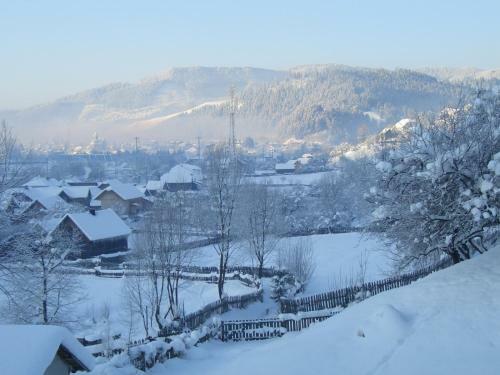 Hostal Pension Lucia Bucovina