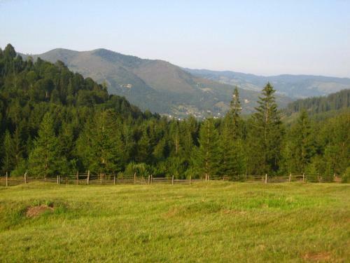 Hostal Pension Lucia Bucovina