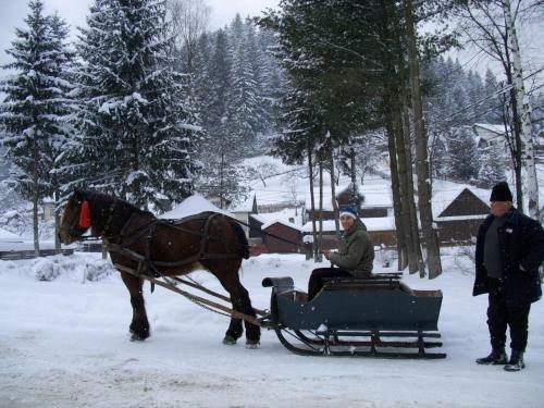 Hostal Pension Lucia Bucovina
