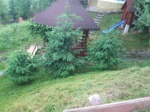Hostal Pension Lucia Bucovina